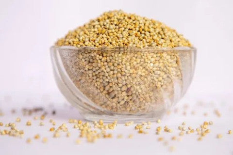 Pearl Millet / Kambu